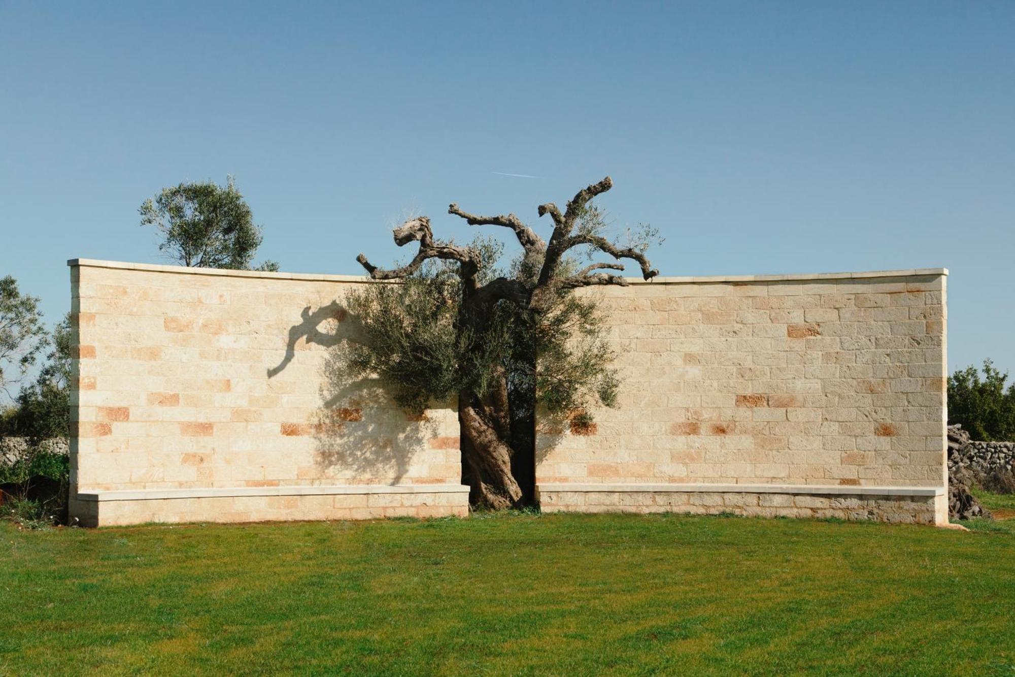 Palmariggi Secolario Masseria Del Viverbene מראה חיצוני תמונה