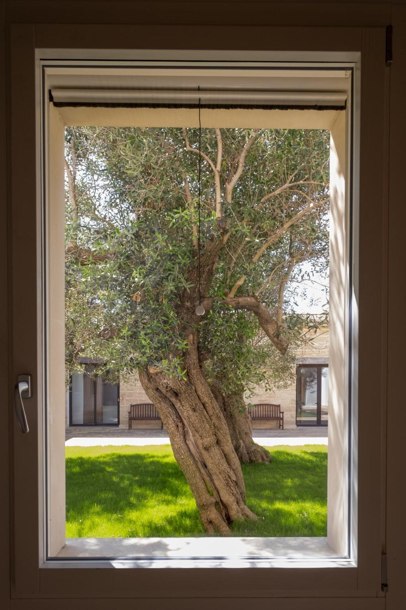 Palmariggi Secolario Masseria Del Viverbene מראה חיצוני תמונה