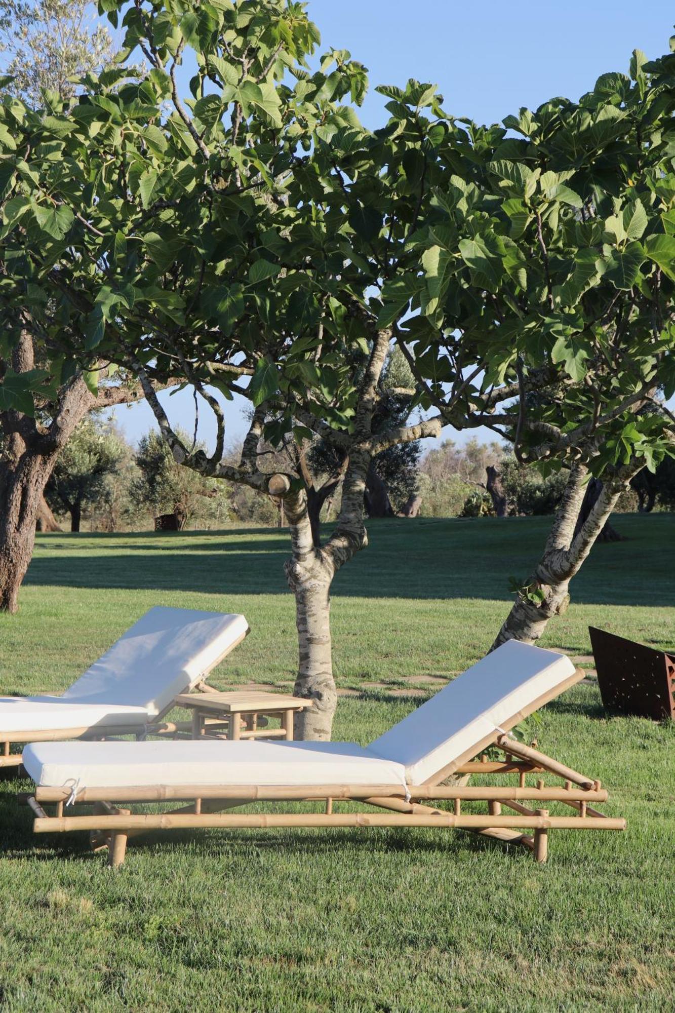 Palmariggi Secolario Masseria Del Viverbene מראה חיצוני תמונה